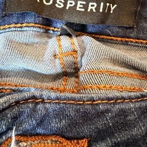 Prosperity Women's Blue Skinny Jeans